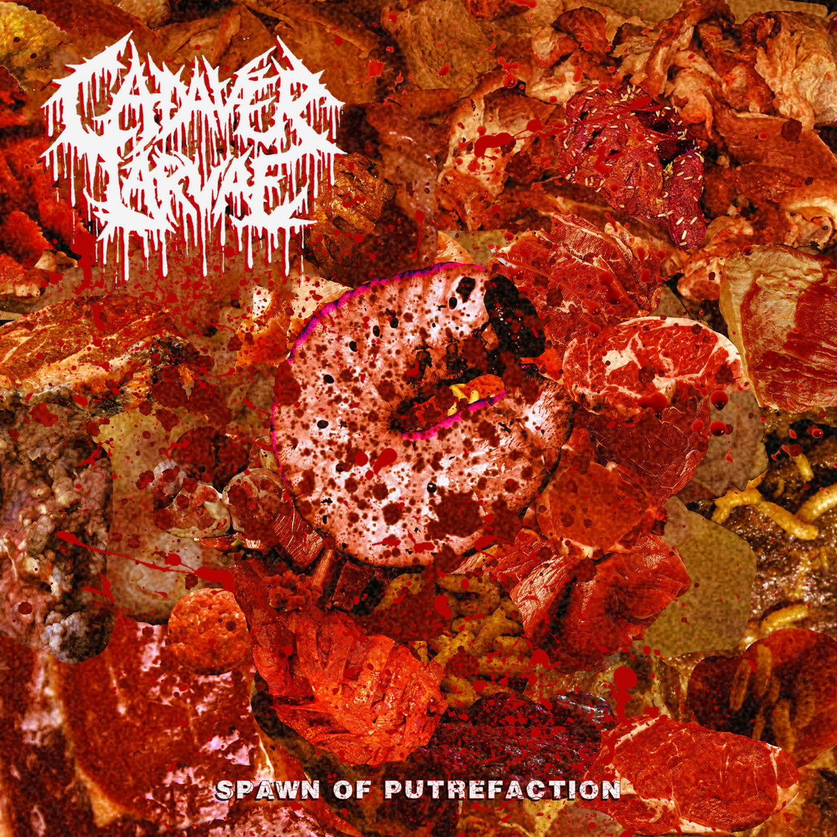 Spawn of Putrefaction - Cadaver Larvae