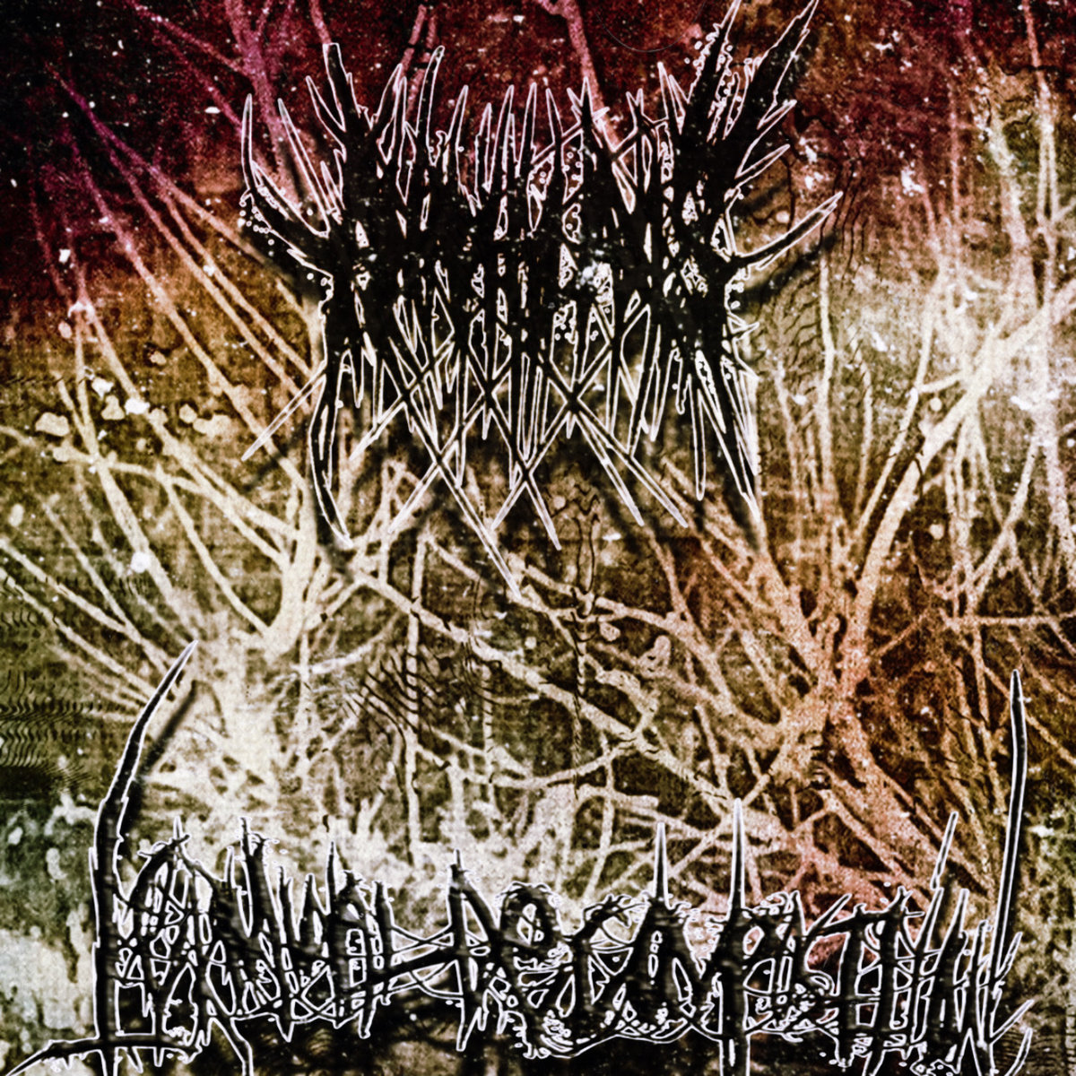 Terminal Decomposition - Anaphylaxis