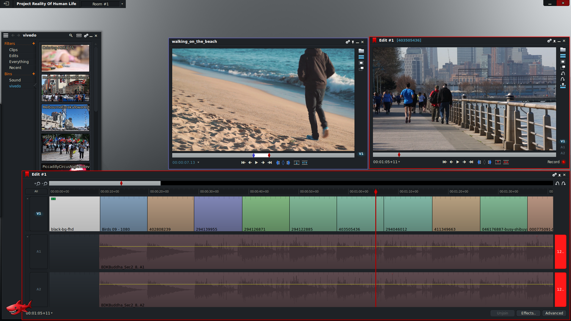 Pro Video Editing On Linux With Lightworks