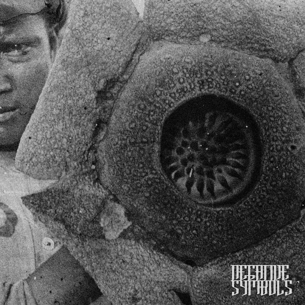 Without Voices by Negative Symbols — A Comment